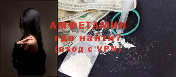 молекула духа Арсеньев