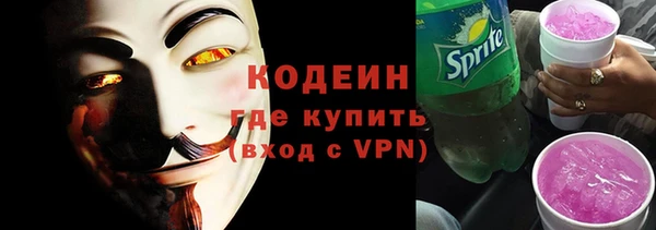 молекула духа Арсеньев