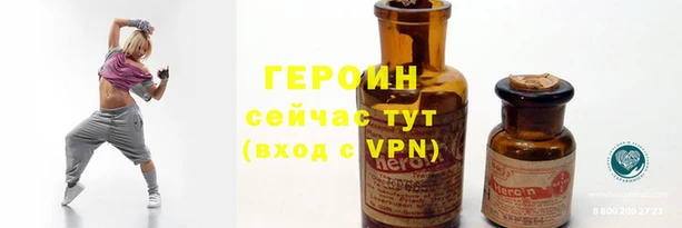 гидра Покачи
