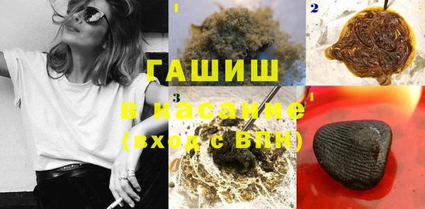 гидра Покачи