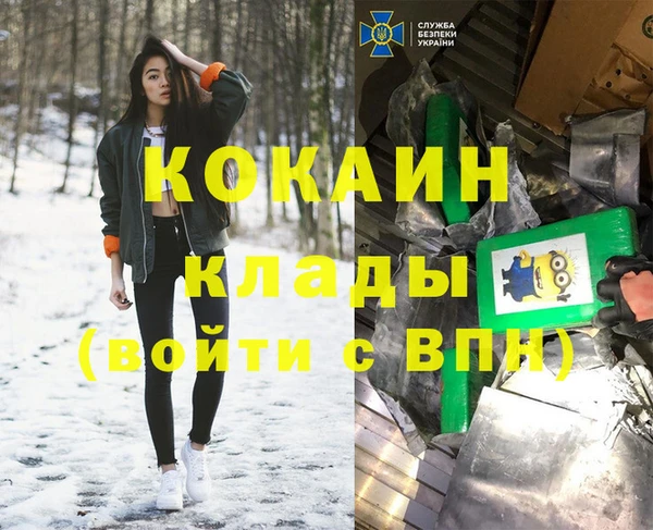 молекула духа Арсеньев