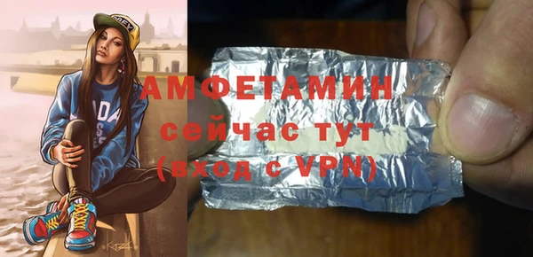 гидра Покачи