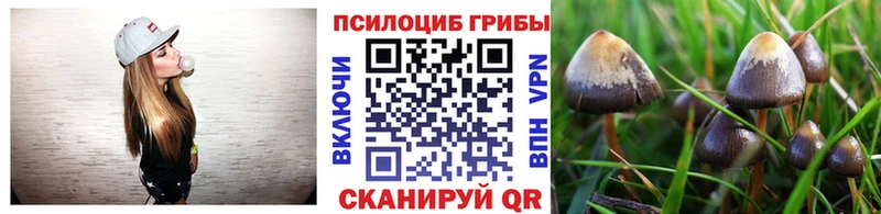 Псилоцибиновые грибы GOLDEN TEACHER  Новоржев 